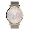 Timex TW2T74500
